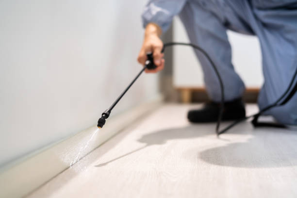 Rodent Entry Point Assessment in Elizabethtown