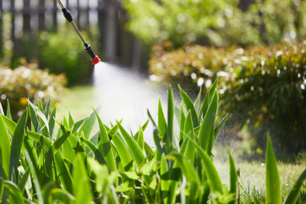 Tamper-Resistant Bait Stations for Rodents in Elizabethtown