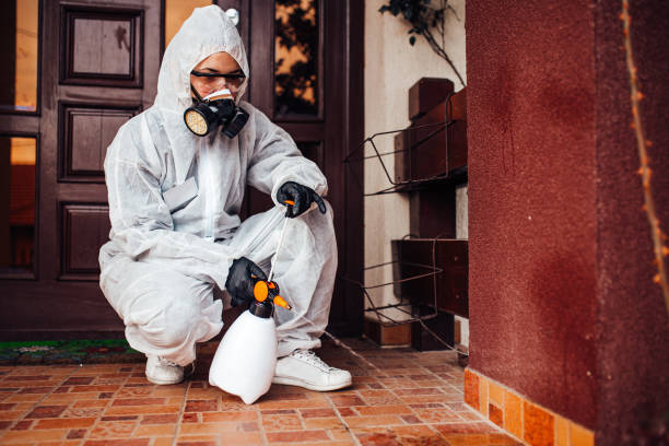 Attic and Crawl Space Rodent Treatment in Elizabethtown